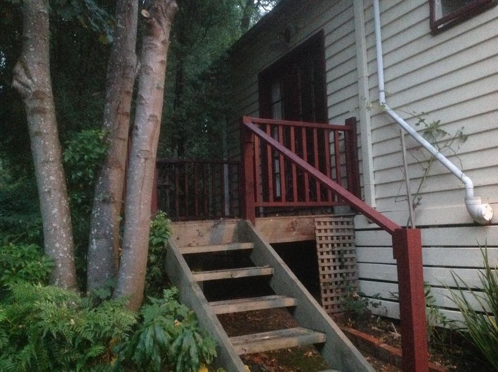 Belgrave Hideaway Bed and Breakfast Esterno foto