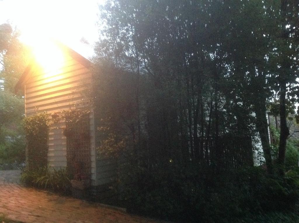 Belgrave Hideaway Bed and Breakfast Esterno foto